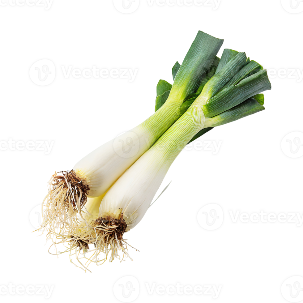 AI generated Green And White Leek With Roots, Isolated Transparent Background png