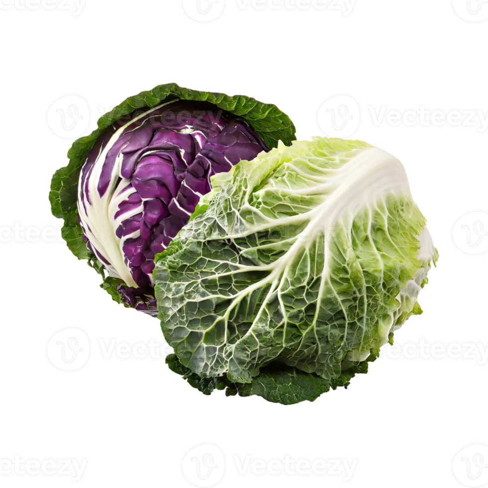 AI generated Green And Purple Cabbage With White Veins, Isolated Transparent Background png