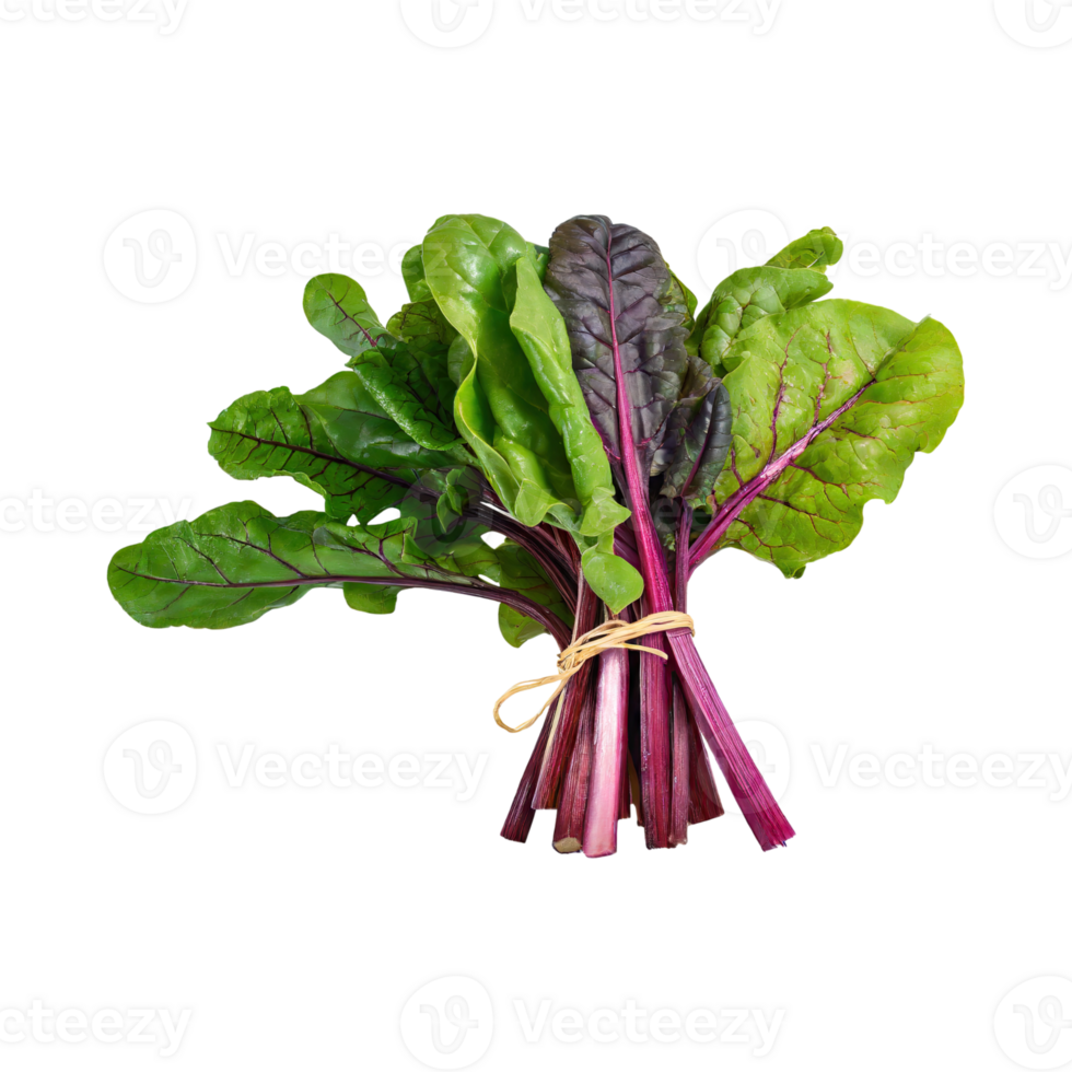 AI generated Bunches Of Green And Purple Swiss Chard With A Leafy Texture, Isolated Transparent Background png