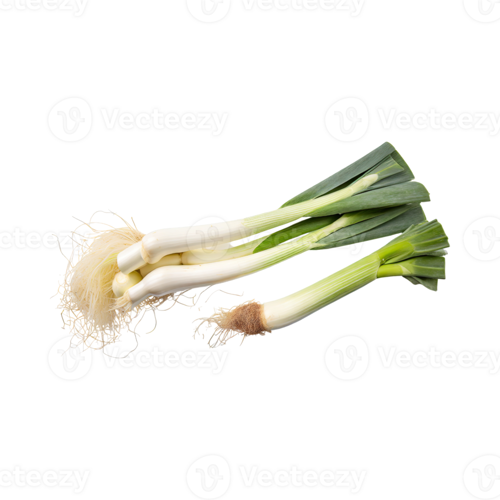 AI generated Green And White Leek With Roots, Isolated Transparent Background png