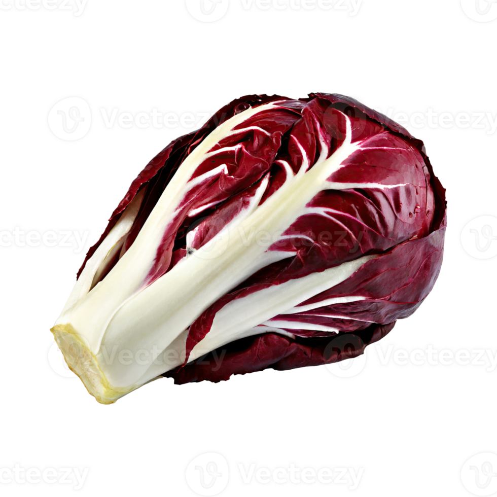 AI generated Radicchio With A Bitter Taste, Without Shadow, Isolated Transparent Background png