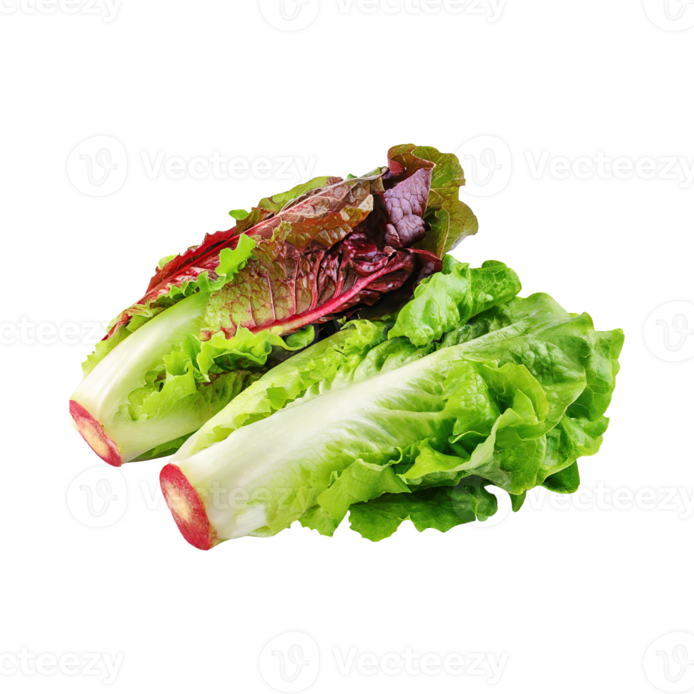 AI generated Green And Red Romaine Lettuce, Isolated Transparent Background png