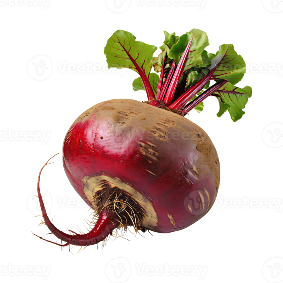 AI generated Red Beetroot With A Green Top, Without Shadow, Isolated Background png