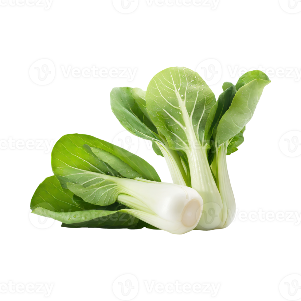 AI generated Green And White Bok Choy With Sliced Bok Choy, Isolated Transparent Background png