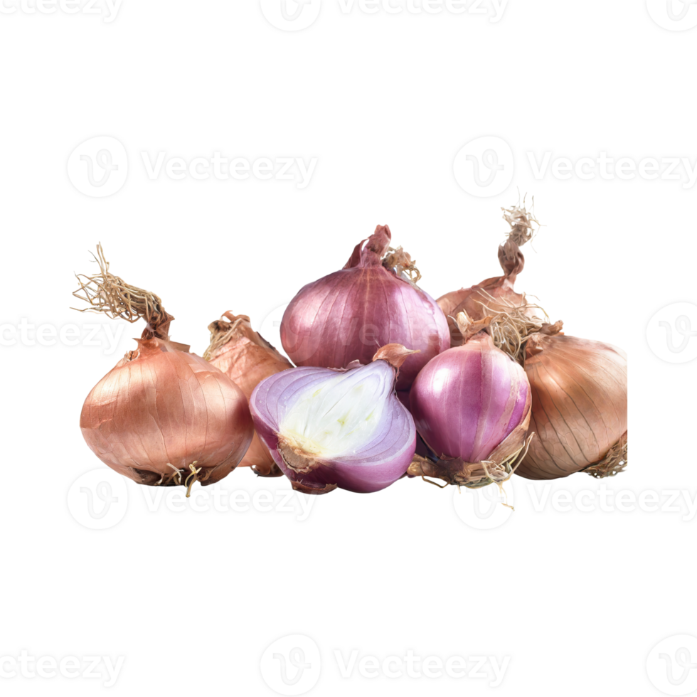 AI generated Brown And White Shallot With A Purple Skin, Without Shadow, Isolated Transparent Background png