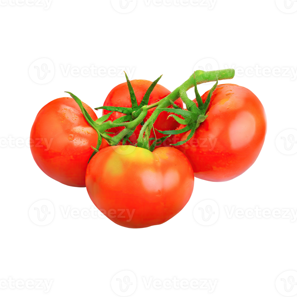AI generated Floating Of Tomatos With A Green Stem, Without Shadow, Isolated Transparent Background png
