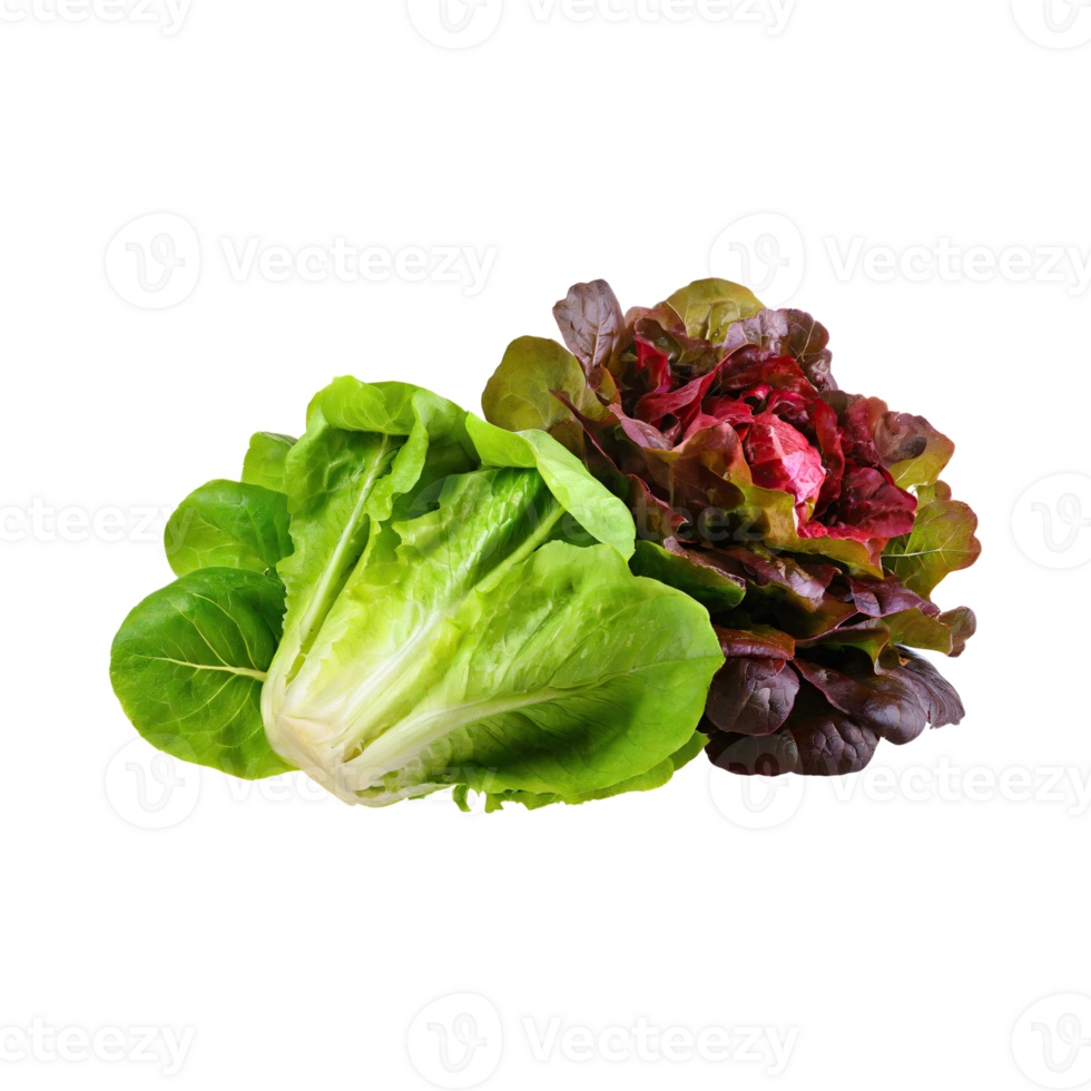 AI generated Green And Red Romaine Lettuce, Isolated Transparent Background png