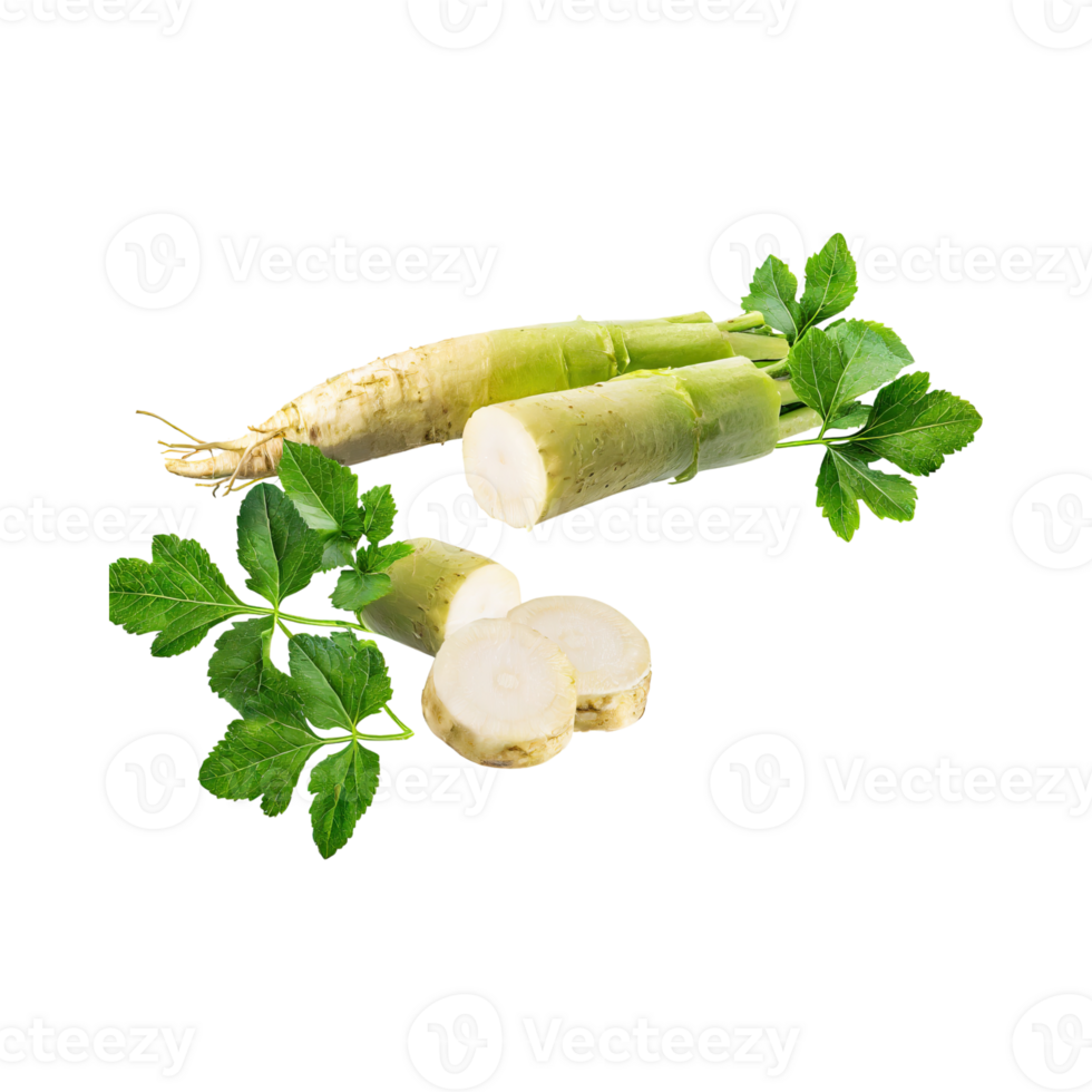 AI generated Floating Of Fresh Horseradish With A Pungent Smell With Sliced, Isolated Transparent Background png