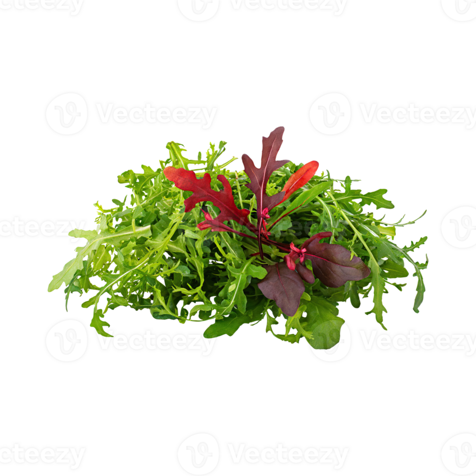 AI generated Green And Red Arugula With A Peppery Flavor, Without Shadow, Isolated Transparent Background png