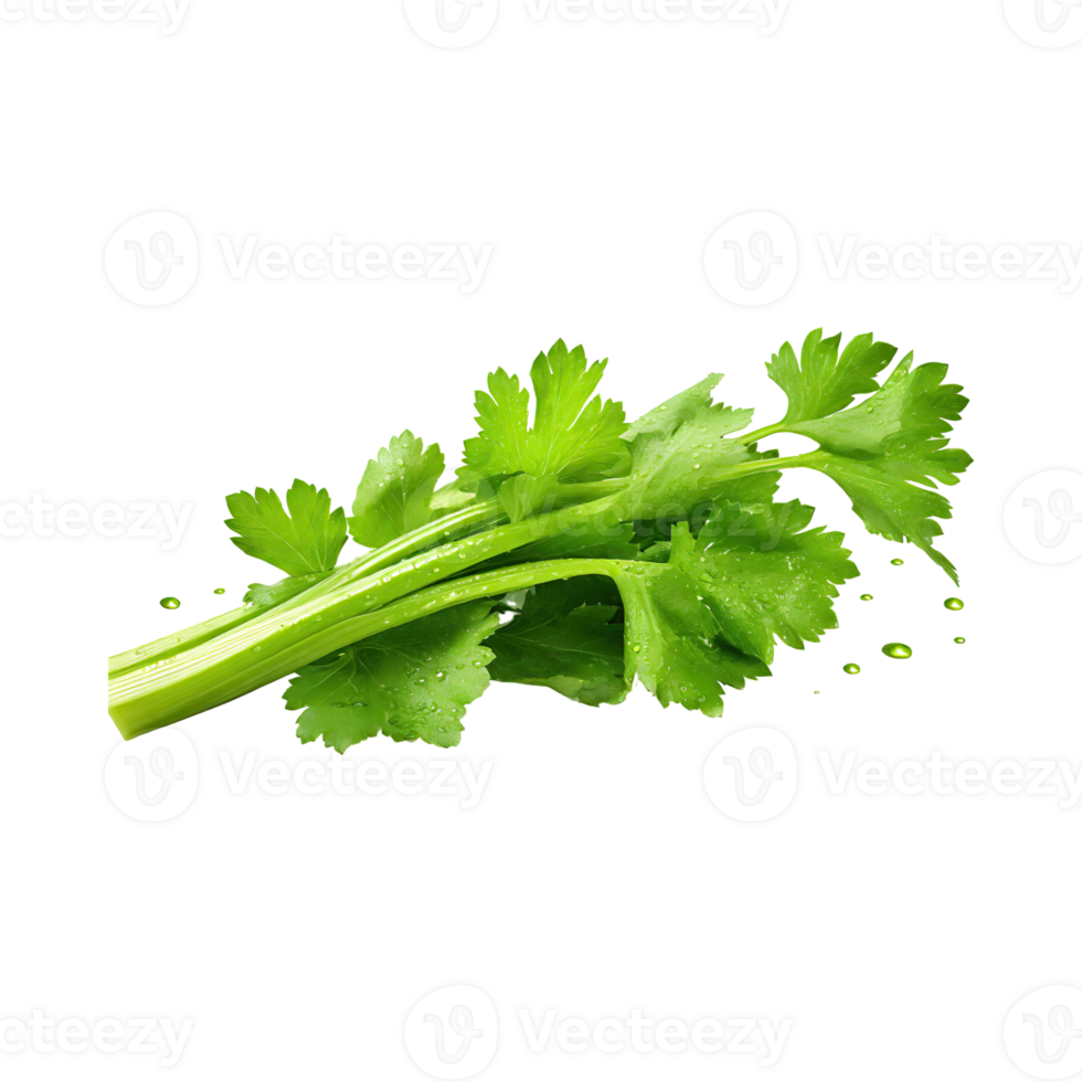 AI generated Bunch Of Fresh Green Leaf Of Celery With Water Drop, Isolated Background png