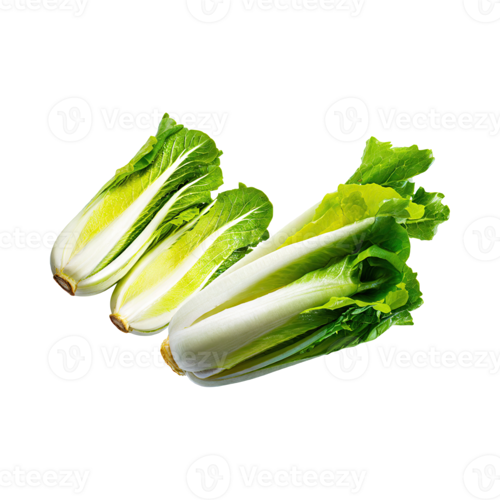 AI generated Floating Of Endive With A Crisp Texture With Sliced, Without Shadow, Isolated Transparent Background png