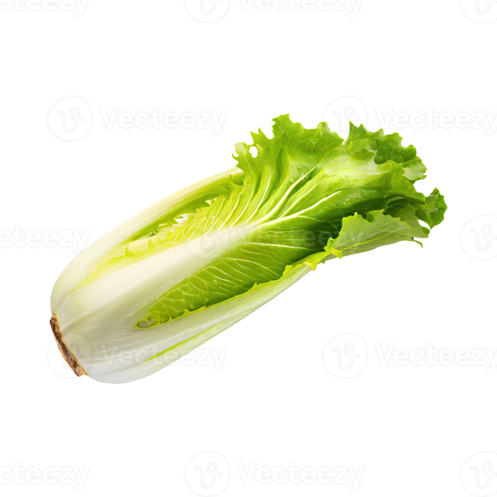 AI generated Floating Of Endive With A Crisp Texture With Sliced, Without Shadow, Isolated Transparent Background png