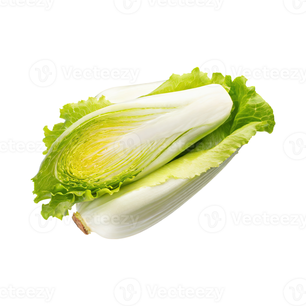 AI generated Floating Of Endive With A Crisp Texture With Sliced, Without Shadow, Isolated Transparent Background png