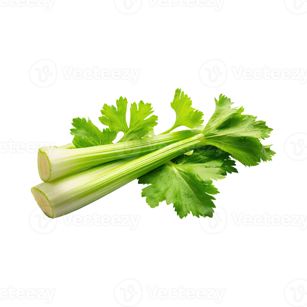 AI generated Fresh Green Leaf Stalks Of Celery, Without Shadow, solated Background png