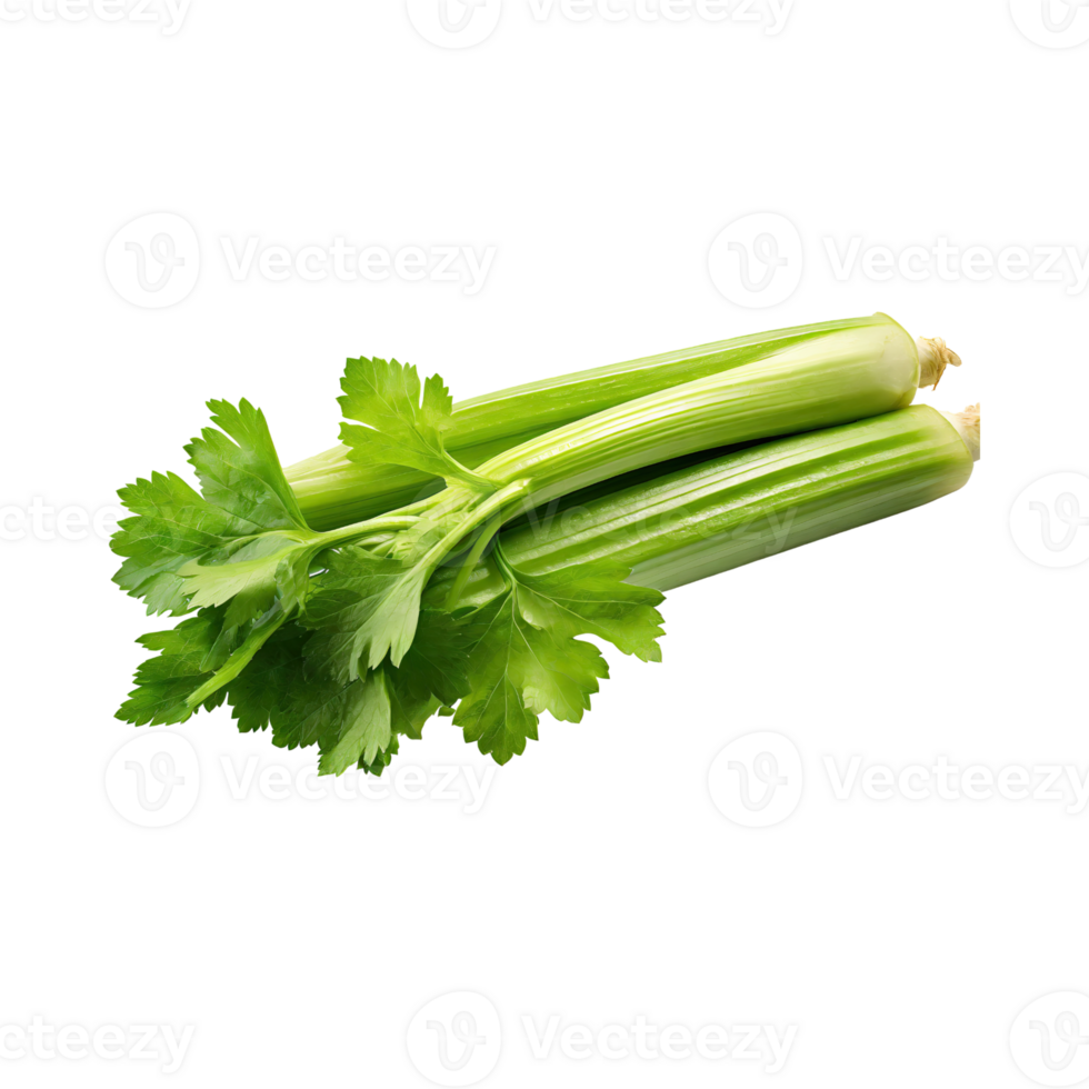 AI generated Fresh Green Leaf Stalks Of Celery, Without Shadow, solated Background png