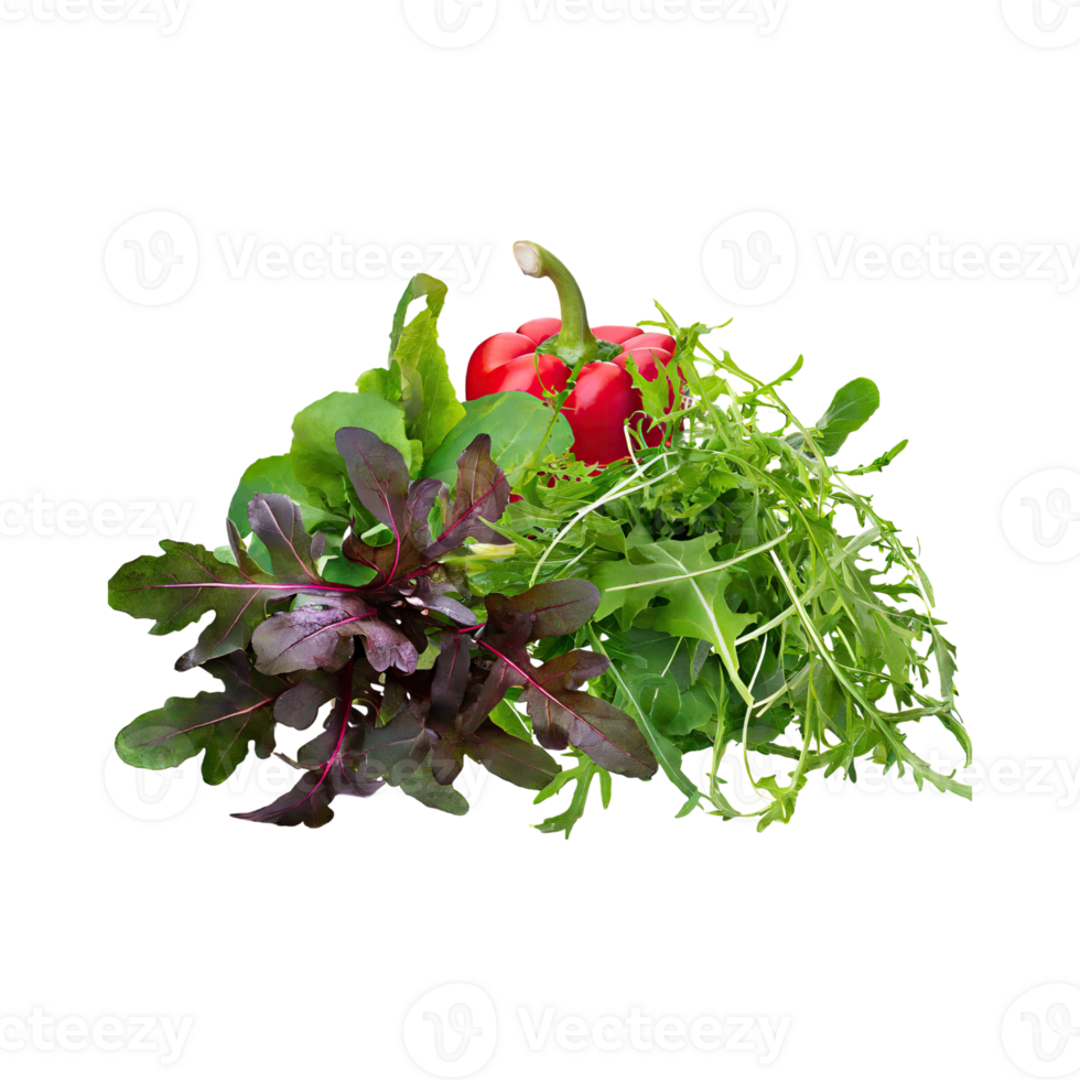 AI generated Green And Red Arugula With A Peppery Flavor, Without Shadow, Isolated Transparent Background png