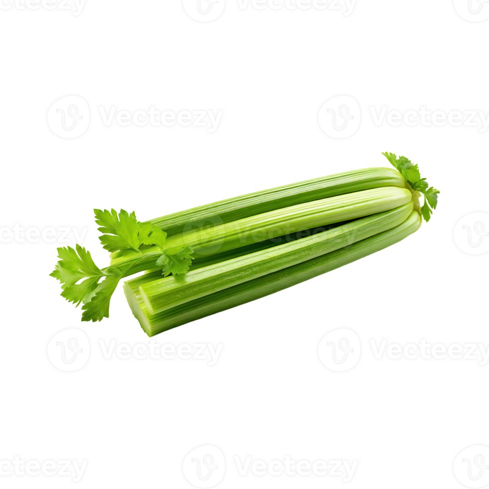 AI generated Fresh Green Leaf Stalks Of Celery, Without Shadow, solated Background png