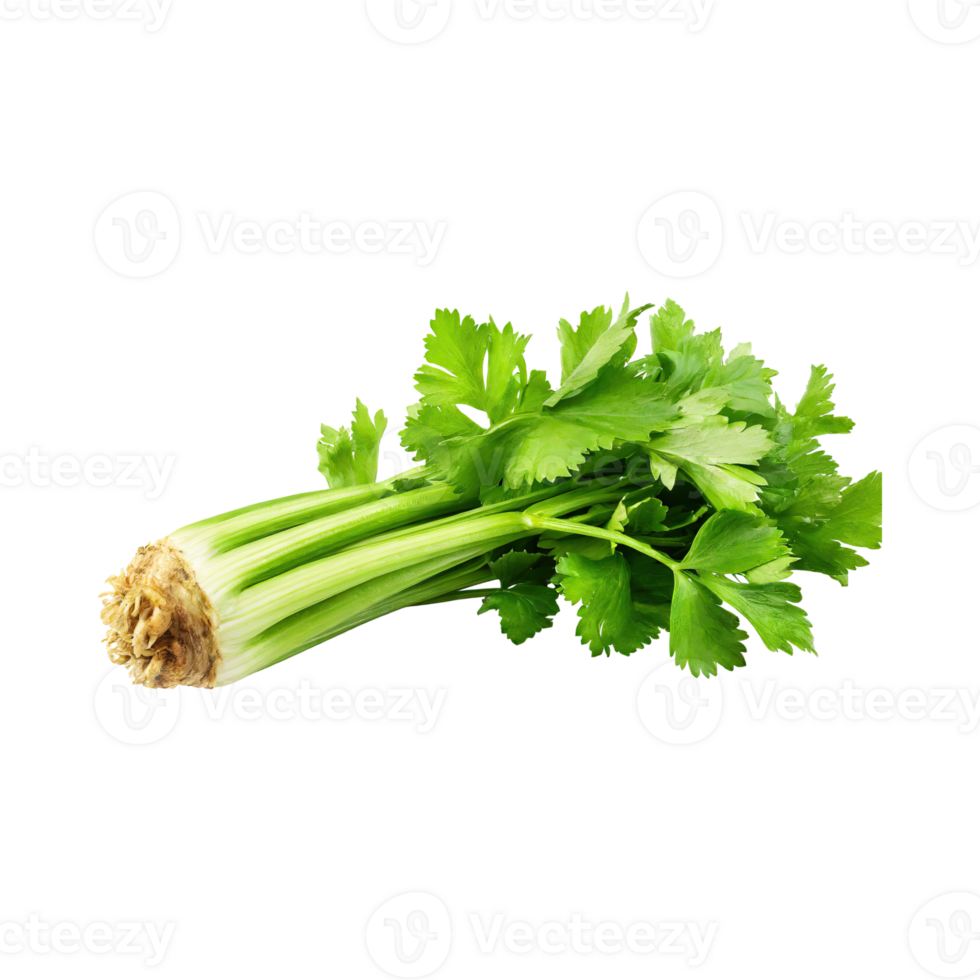 AI generated Bunch Of Fresh Green Leaf Of Celery With Water Drop, Isolated Background png