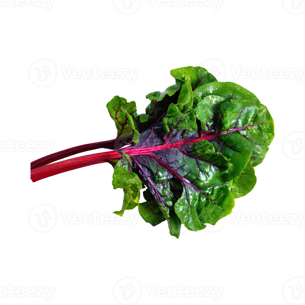 AI generated Bunch Of Green And Purple Swiss Chard With A Leafy Texture, Isolated Transparent Background png