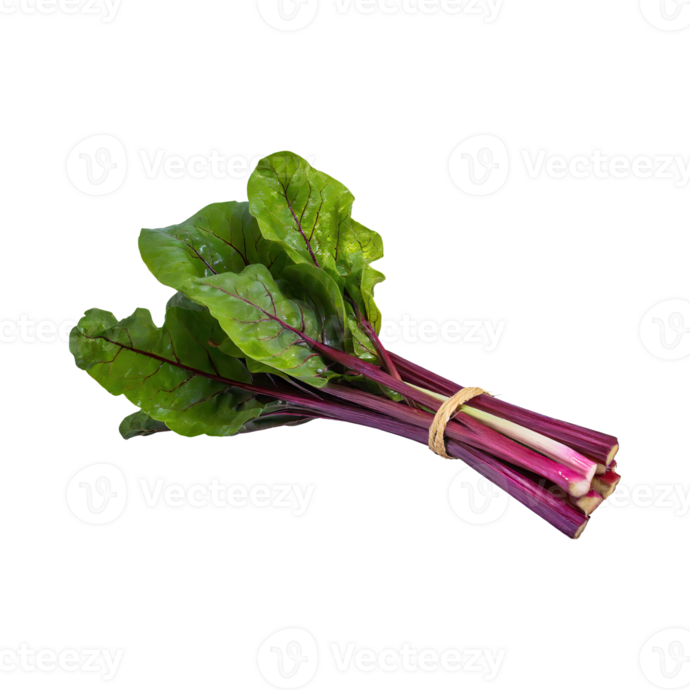 AI generated Bunch Of Green And Purple Swiss Chard With A Leafy Texture, Isolated Transparent Background png