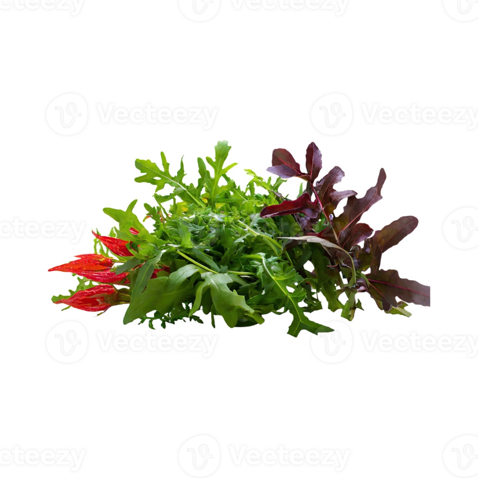 AI generated Green And Red Arugula With A Peppery Flavor, Without Shadow, Isolated Transparent Background png