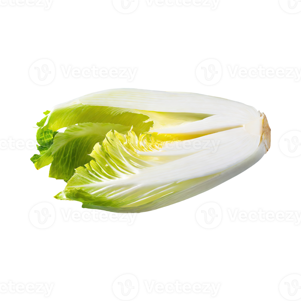 AI generated Floating Of Endive With A Crisp Texture With Sliced, Without Shadow, Isolated Transparent Background png