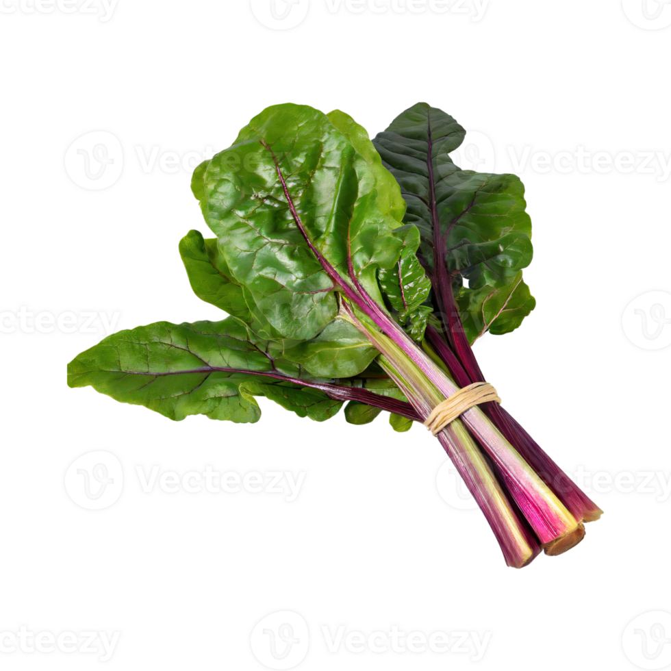 AI generated Bunch Of Green And Purple Swiss Chard With A Leafy Texture, Isolated Transparent Background png