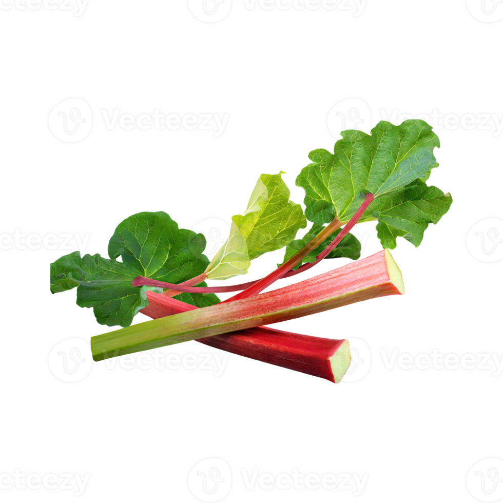 AI generated Floating Of Red And Green Rhubarb Without Shadow, Isolated Transparent Background png