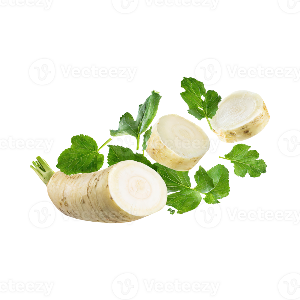 AI generated Floating Of Fresh Horseradish With A Pungent Smell With Sliced, Isolated Transparent Background png