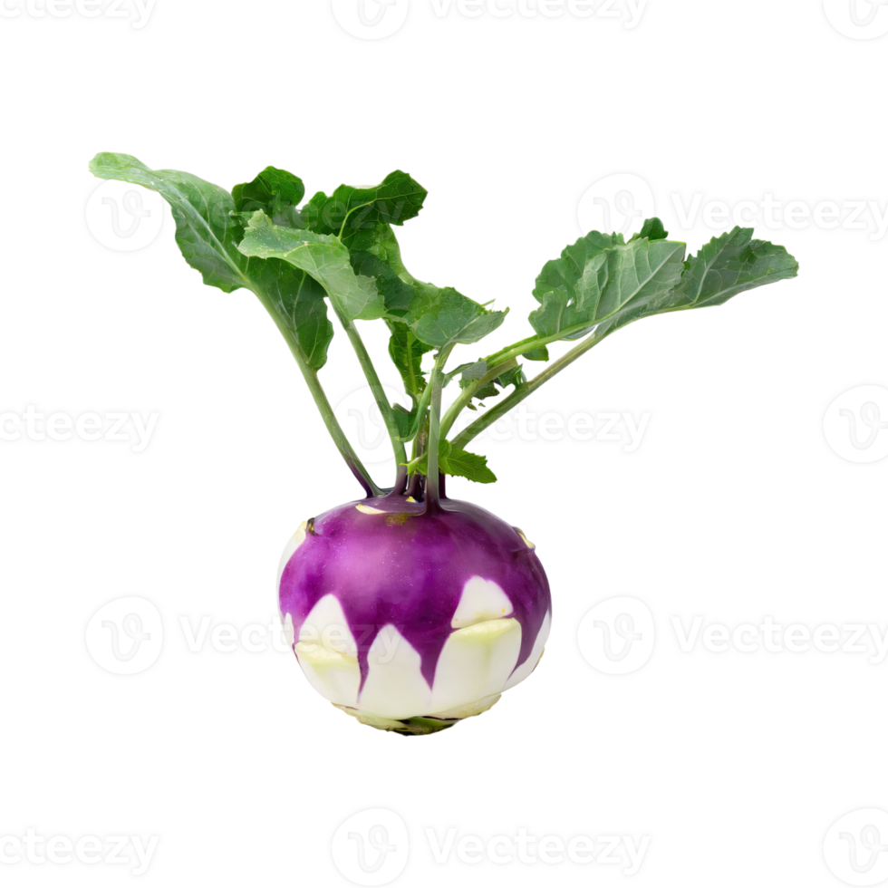 AI generated Floating Of Fresh Purple Kohlrabi With Sliced, Without Shadow, Isolated Transparent Background png
