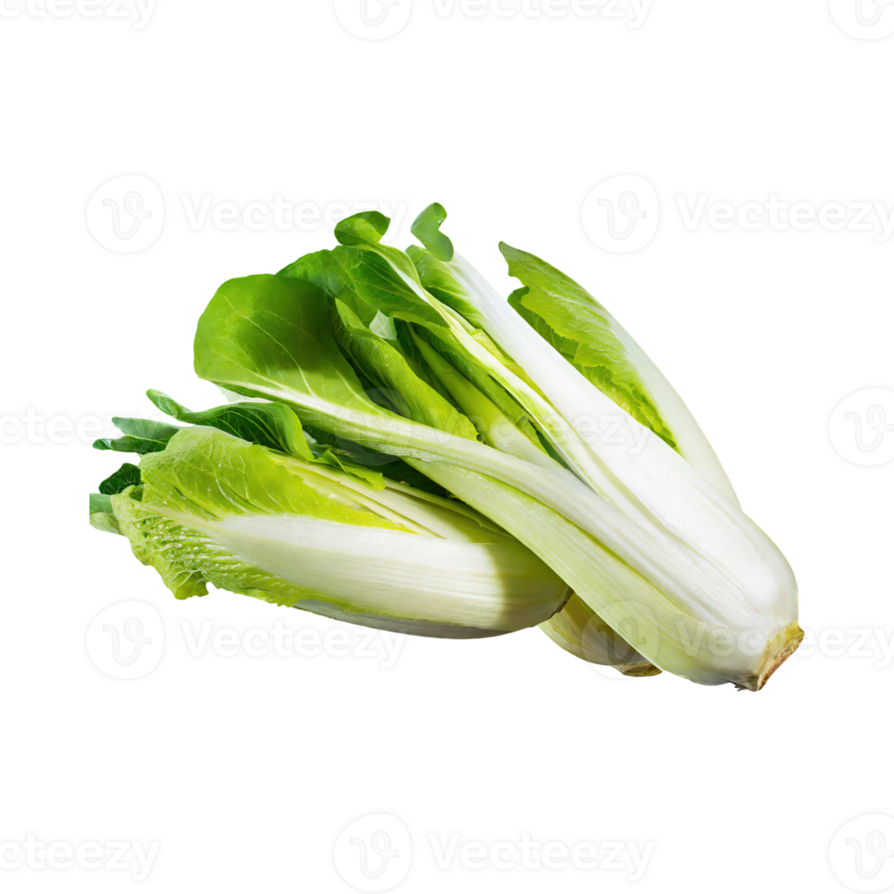 AI generated Floating Of Endive With A Crisp Texture With Sliced, Without Shadow, Isolated Transparent Background png