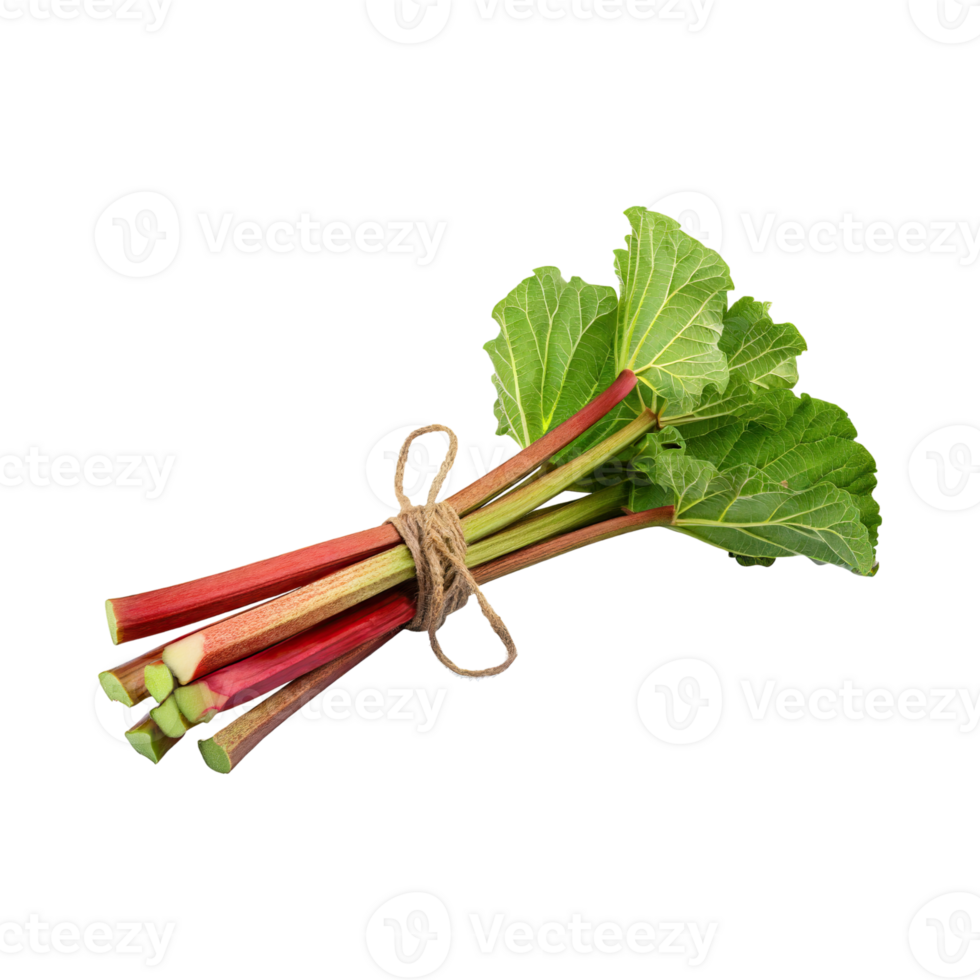 AI generated Bunch Of Rhubarb, Bamboo Rope, Without Shadow, Isolated Transparent Background png