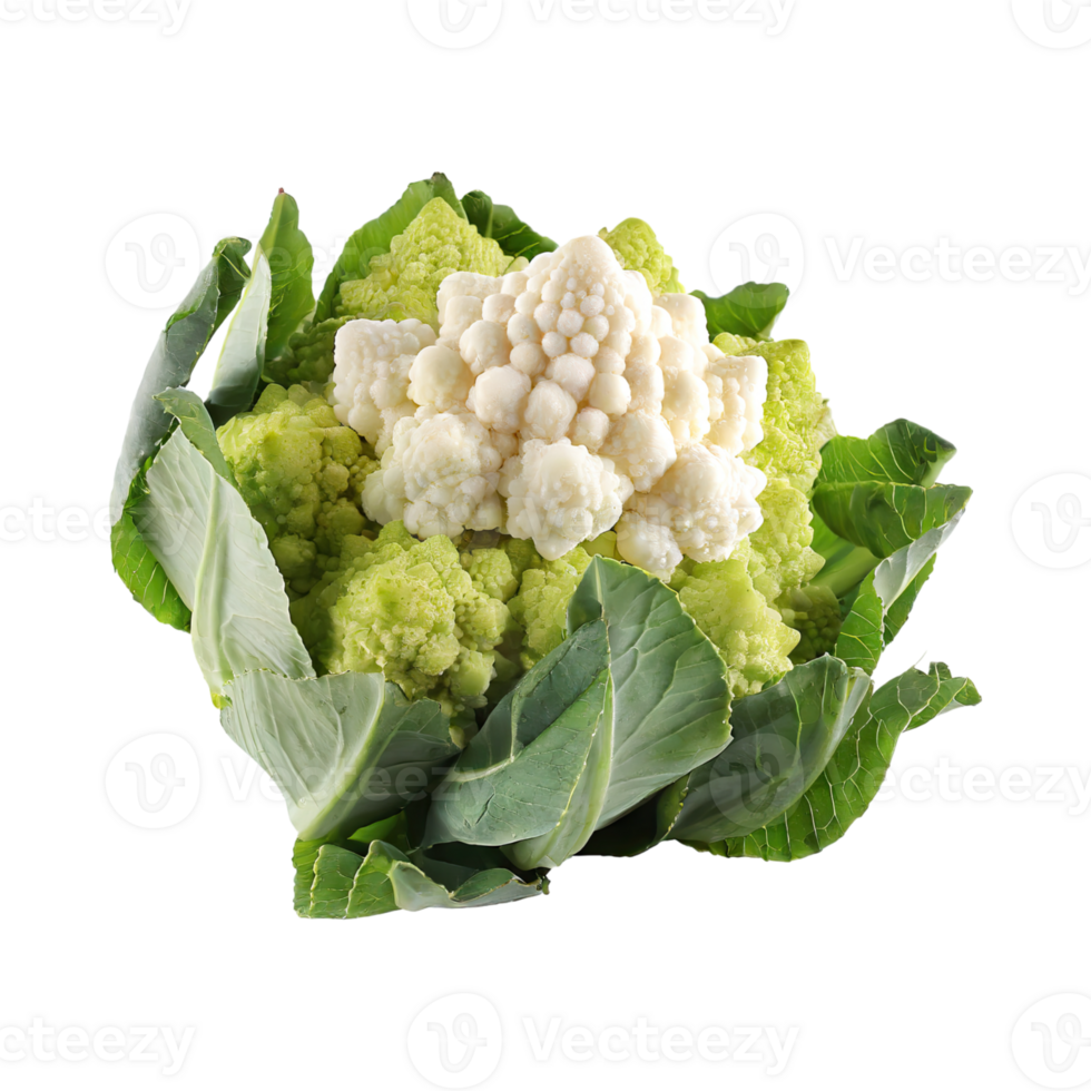 AI generated Green And White Cauliflower With A Flower-Like Shape, Isolated Transparent Background png