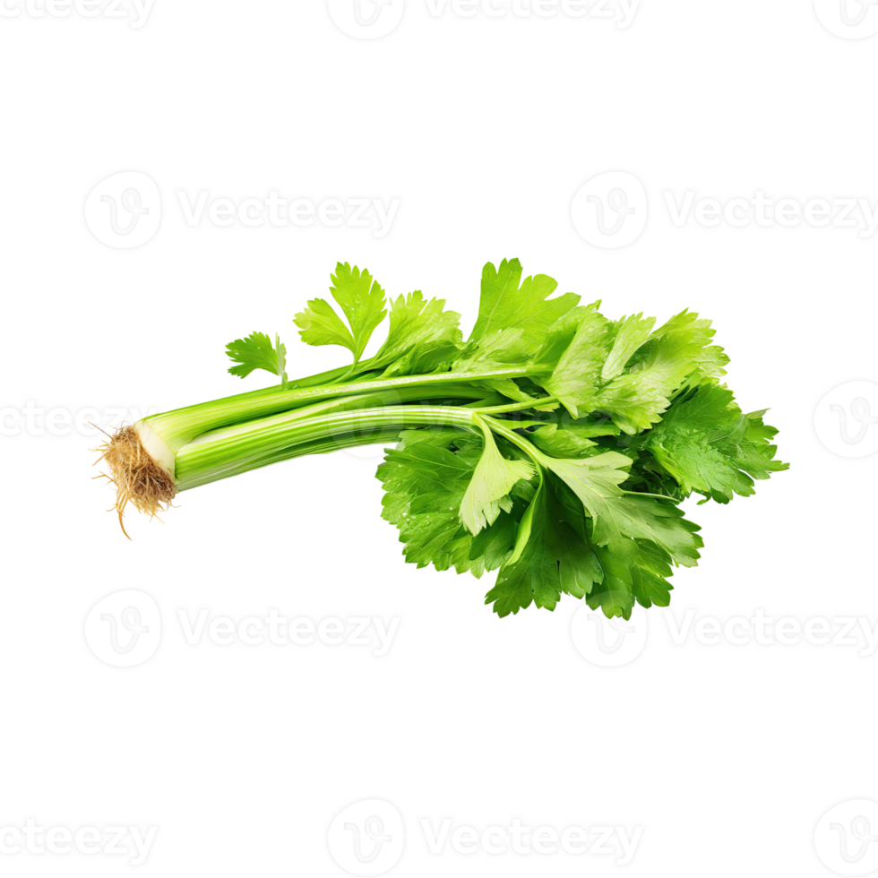 AI generated Bunch Of Fresh Green Leaf Of Celery With Water Drop, Isolated Background png