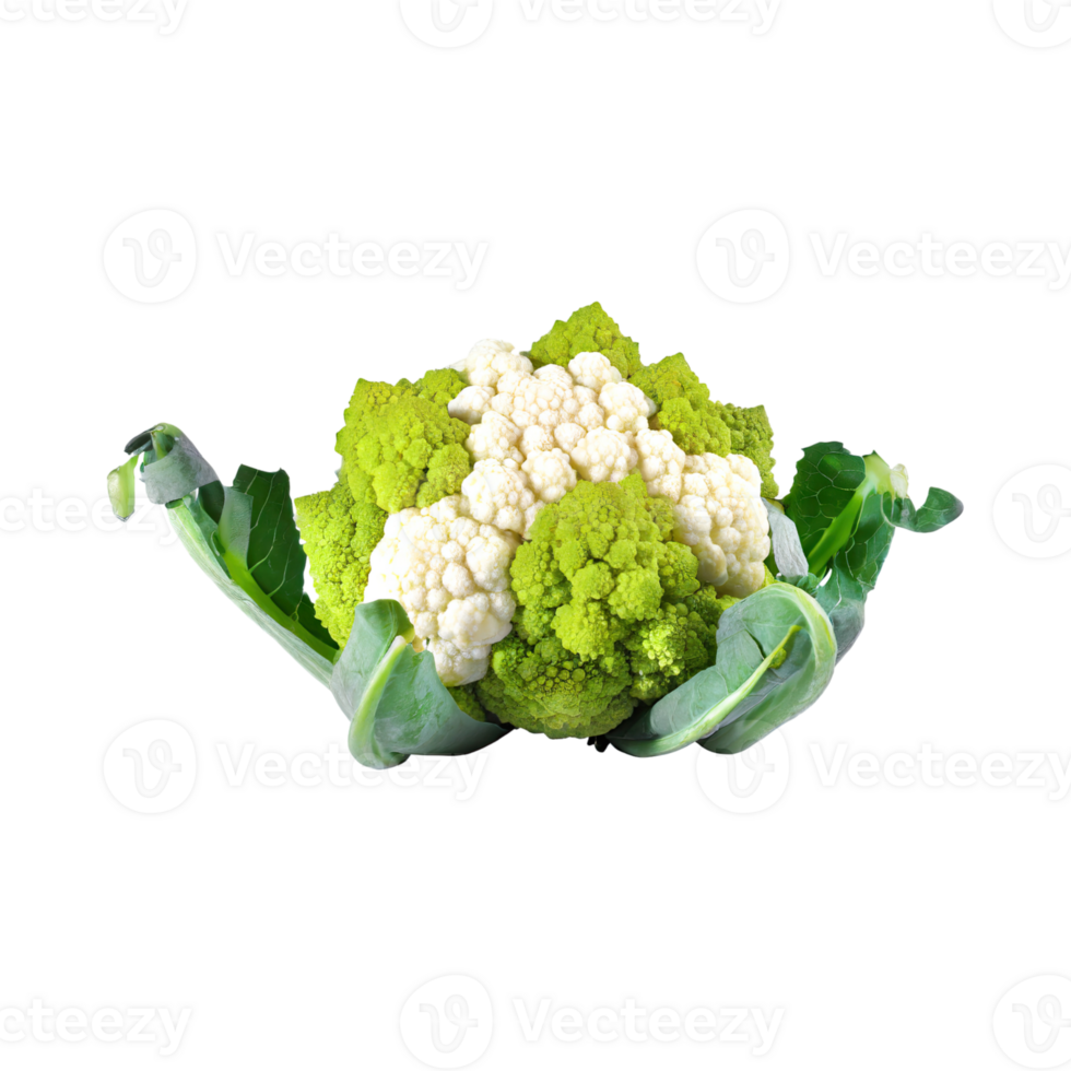 AI generated Green And White Cauliflower With A Flower-Like Shape, Isolated Transparent Background png