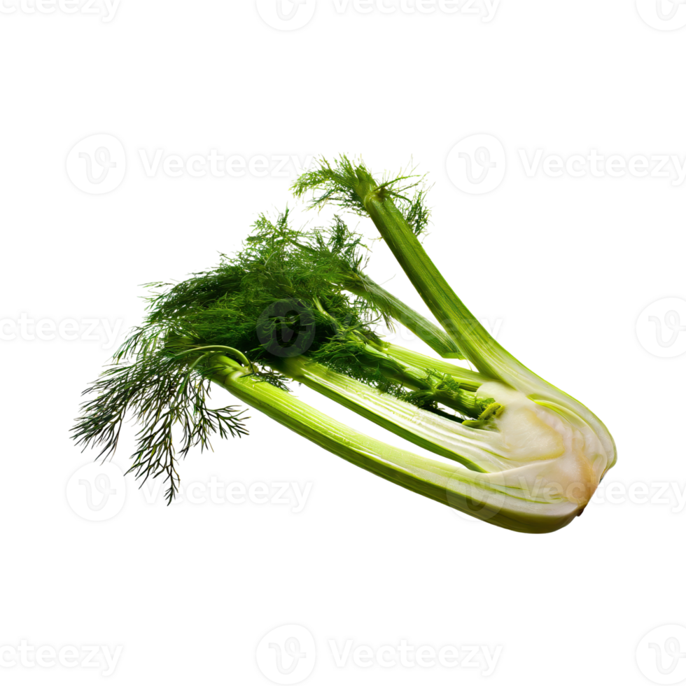 AI generated Bunch Of Sliced Of Fennel Blub, Without Shadow, Blank Isolated Background png