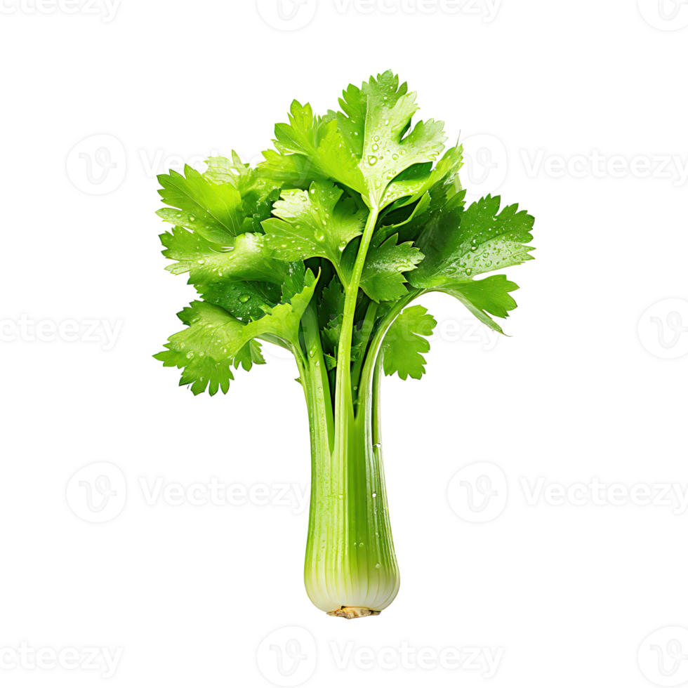AI generated Bunch Of Fresh Green Leaf Of Celery With Water Drop