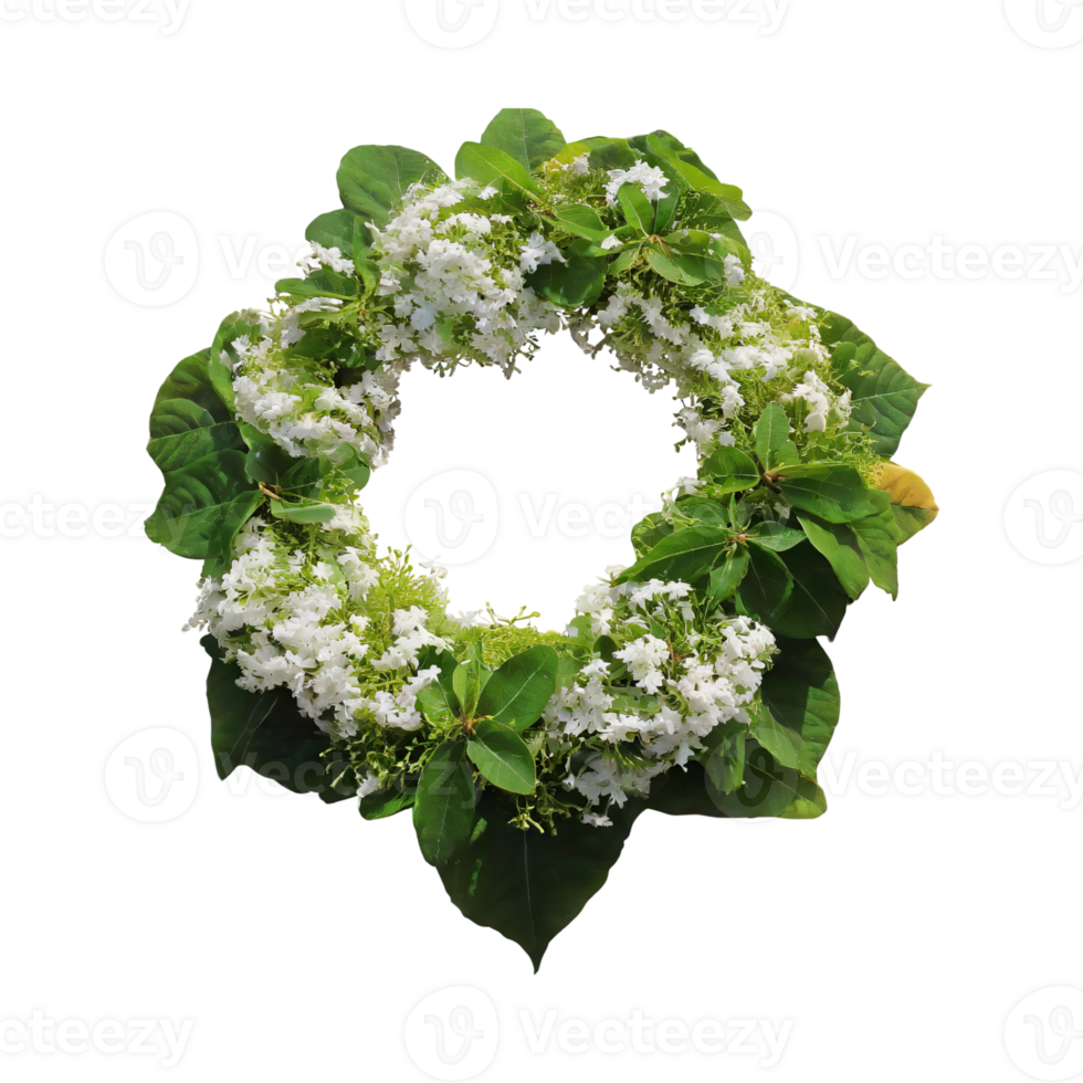 AI generated Green And White Cauliflower With A Flower-Like Shape, Isolated Transparent Background png