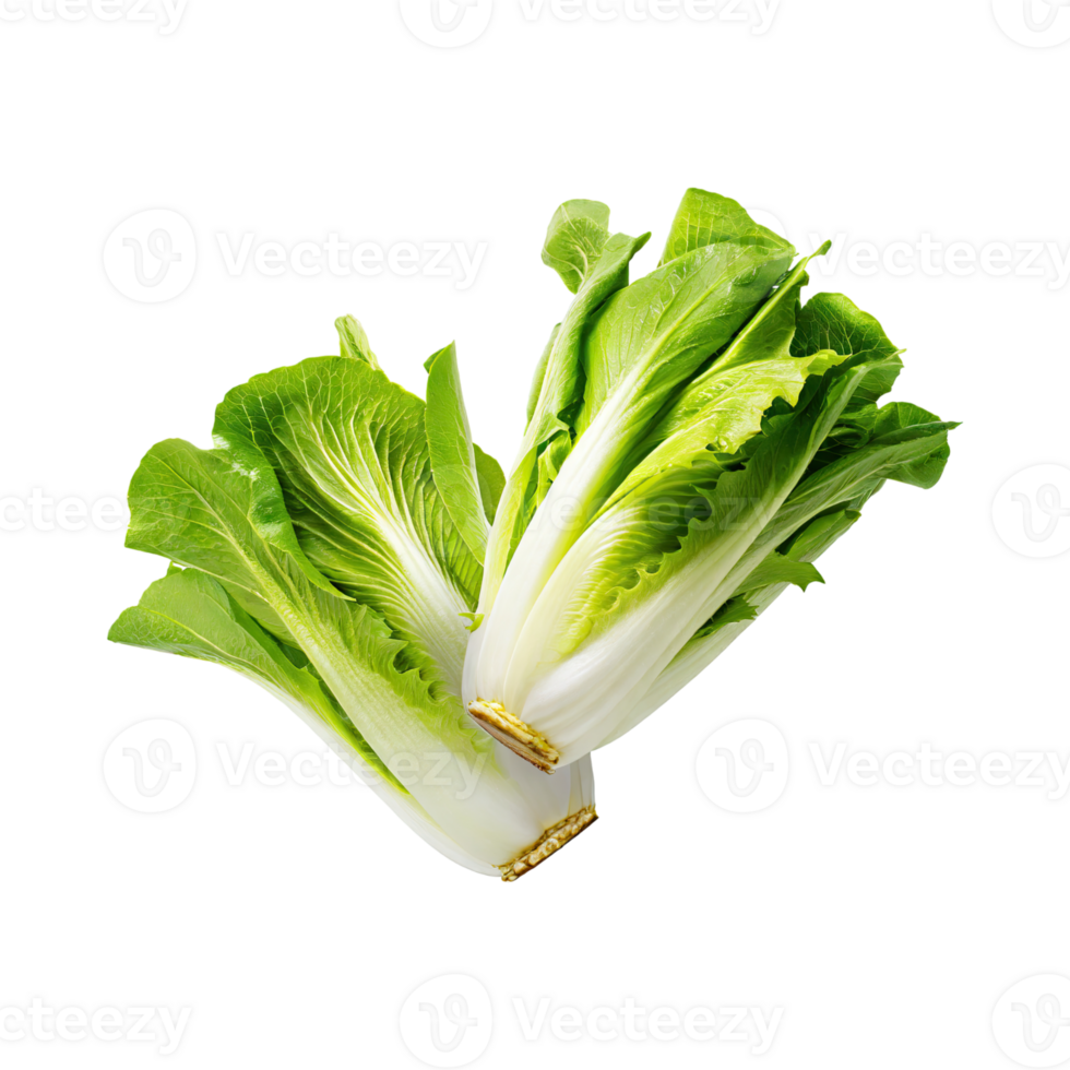 AI generated Floating Of Endive With A Crisp Texture With Sliced, Without Shadow, Isolated Transparent Background png
