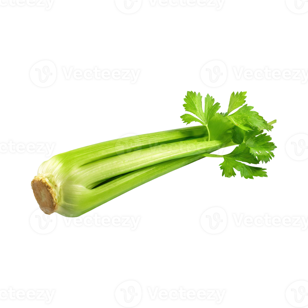 AI generated Fresh Green Leaf Stalks Of Celery, Without Shadow, solated Background png