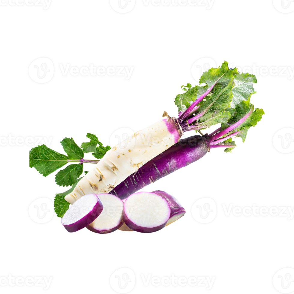 AI generated Floating Of Fresh White Blending To Purple Horseradish With A Pungent Smell With Sliced, Isolated Transparent Background png