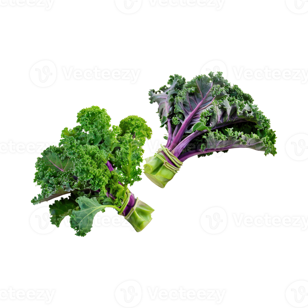 AI generated Floating Of Bunches Green Kale With Curly Edges, Isolated Transparent Background png