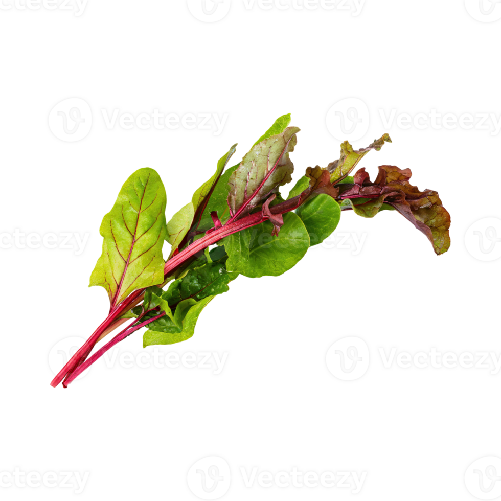 AI generated Floating Of Green And Red Sorrel With A Lemony Flavor, Isolated Transparent Background png