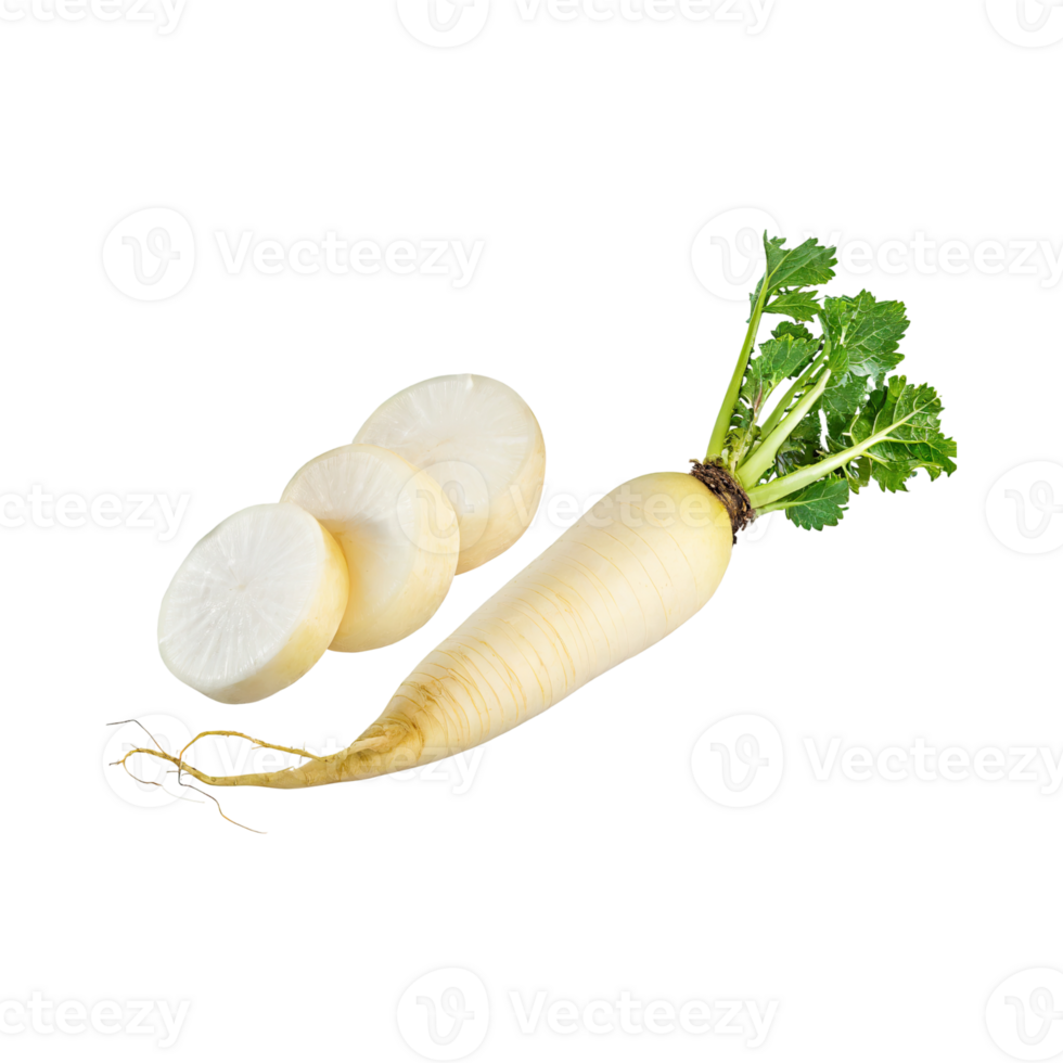 AI generated Floating Of White Daikon With A Mild Flavor, Without Shadow, Isolated Transparent Background png