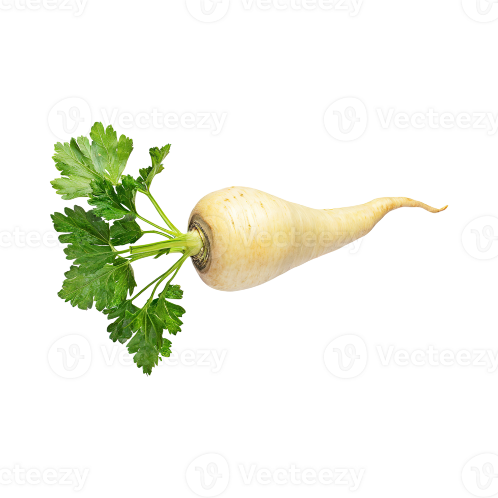 AI generated Floating Of Parsnip, Without Shadow, Isolated Transparent Background png