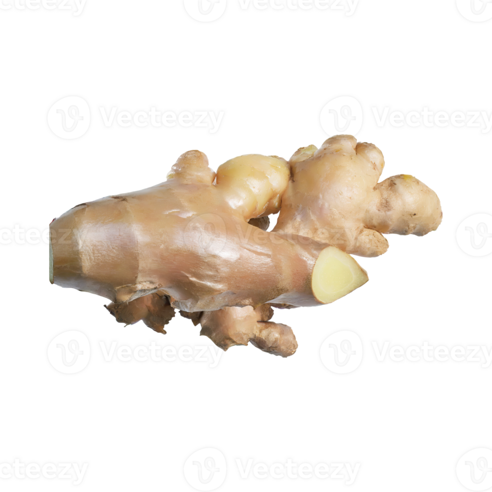 AI generated Floating Of White And Brown Ginger, Without Shadow,  Isolated Transparent Background png
