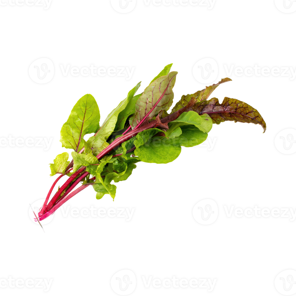 AI generated Floating Of Green And Red Sorrel With A Lemony Flavor, Isolated Transparent Background png