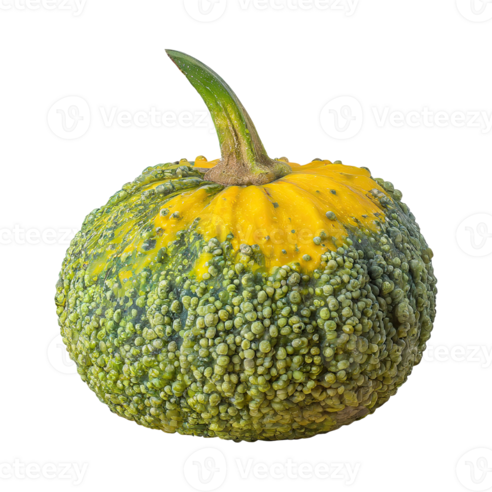 AI generated Green And Yellow Gourd With A Bumpy Surface, Without Shadow, Isolated Transparent Background png