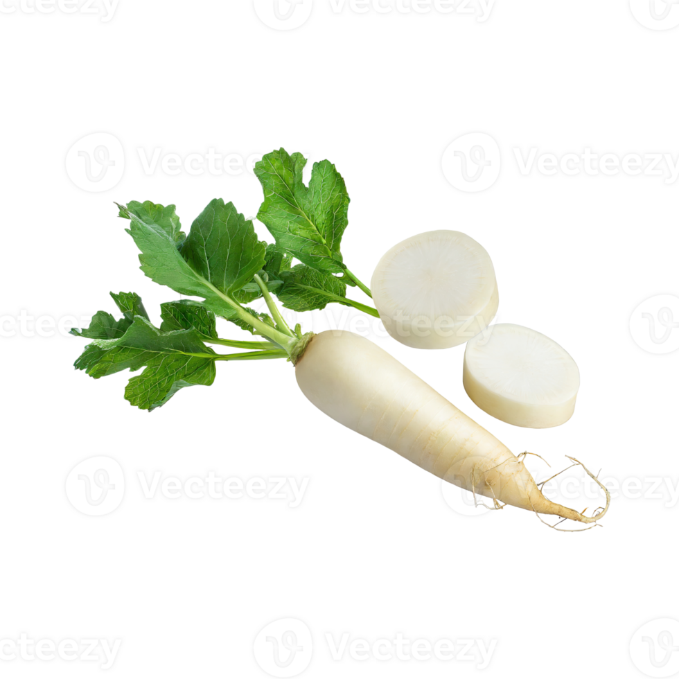 AI generated Floating Of White Daikon With A Mild Flavor, Without Shadow, Isolated Transparent Background png