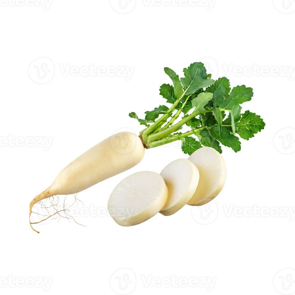 AI generated Floating Of White Daikon With A Mild Flavor, Without Shadow, Isolated Transparent Background png